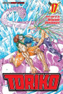 Toriko, Vol. 17: Shining Gourami!!