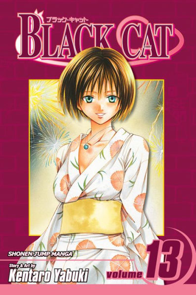 Black Cat, Vol. 13: Dear Friend