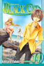Black Cat, Vol. 14: Alliance