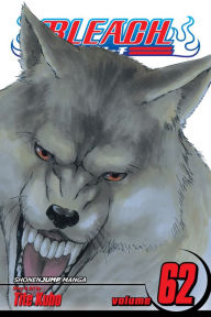 Title: Bleach, Vol. 62: Heart of Wolf, Author: Tite Kubo