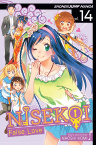 Title: Nisekoi: False Love, Volume 14: Big Sister, Author: Naoshi Komi