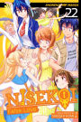 Nisekoi: False Love, Vol. 22: Bull's-Eye