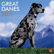 Title: 2011 Great Danes (International) Square Wall Calendar, Author: BrownTrout Publishers