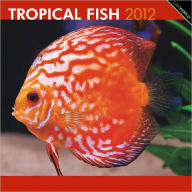 Title: 2012 Tropical Fish Square 12X12 Wall Calendar, Author: BrownTrout Publishers