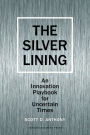 Silver Lining: Your Guide to Innovating in a Downturn