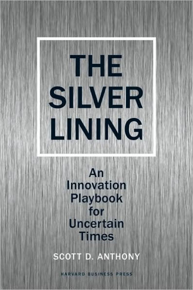 Silver Lining: Your Guide to Innovating a Downturn