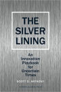 Silver Lining: Your Guide to Innovating in a Downturn