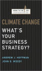 Climate Change: What's Your Business Strategy?