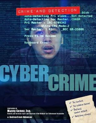 Cyber Crime (Crime and Detection Series)