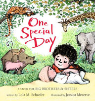 Title: One Special Day, Author: Lola Schaefer