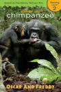 Chimpanzee: Oscar and Freddy