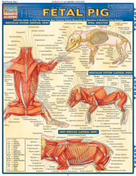 Title: Fetal Pig, Author: Vincent Perez