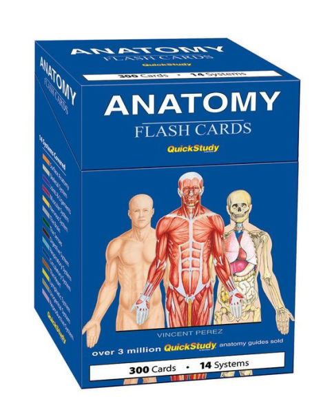 Anatomy Flash Cards: a QuickStudy reference tool