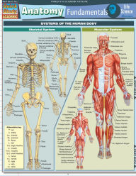 Title: Anatomy Fundamentals: Life Science, Author: Vincent Perez