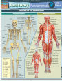 Anatomy Fundamentals: Life Science