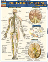 Title: Nervous System Advanced, Author: Vincent Perez