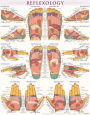 Reflexology Poster (22 x 28 inches) - Laminated: a QuickStudy Anatomy Reference