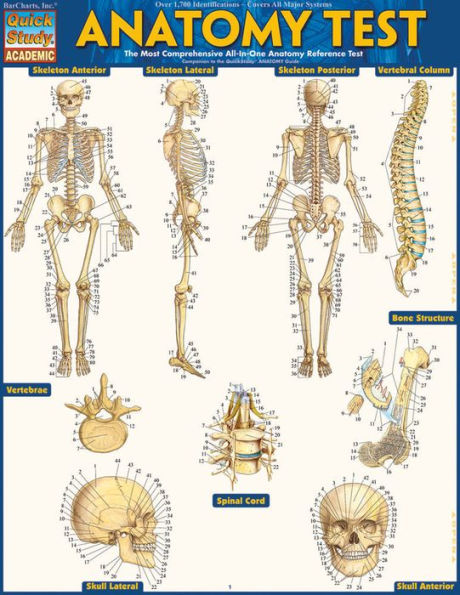 Anatomy Test Reference Guide (8.5 x 11): for use with Anatomy Reference Guide (9781423222781)