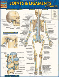 Title: Joints & Ligaments Advanced: QuickStudy Laminated Reference Guide, Author: Vincent Perez