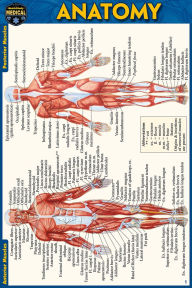 Title: Anatomy Pocket-Sized Reference Guide (4x6 inches), Author: Vincent Perez