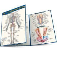 Title: Anatomy of the Circulatory System (Pocket-Sized Edition - 4x6 inches), Author: Vincent Perez
