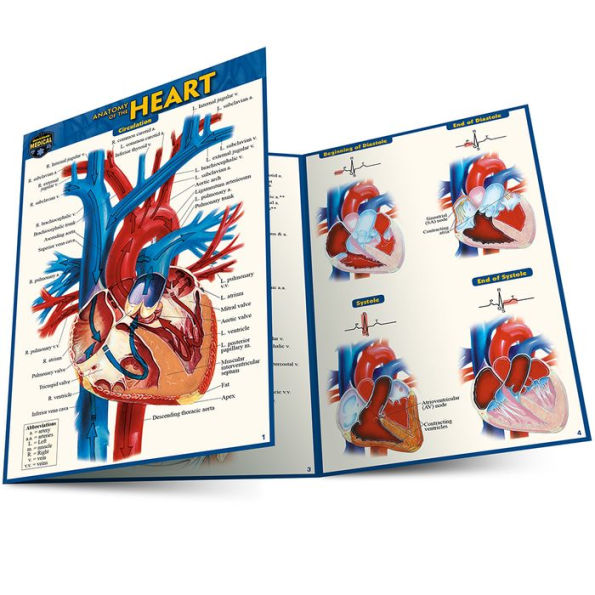 Anatomy of the Heart (Pocket-Sized Edition - 4x6 inches)