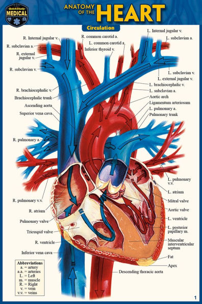 Anatomy of the Heart (Pocket-Sized Edition - 4x6 inches)
