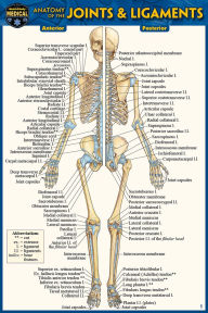 Title: Anatomy of the Joints & Ligaments (Pocket-Sized Edition - 4x6 inches), Author: Vincent Perez