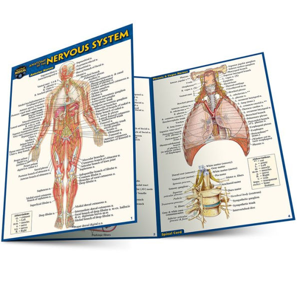 Anatomy of the Nervous System (Pocket-Sized Edition -4x6 inches)