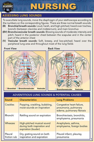 Nursing (Pocket-Sized Edition - 4x6 inches): a QuickStudy Laminated Reference Guide