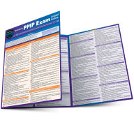 Title: QuickStudy PMP® Exam Content Outlline - Domain Test Prep: Laminated Reference Guide, Author: Aileen Ellis PgMP