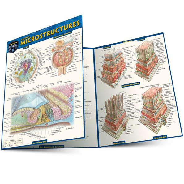 Anatomy Microstructures: a QuickStudy Laminated Reference Guide