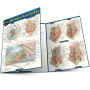 Anatomy Microstructures: a QuickStudy Laminated Reference Guide