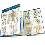 Title: Anatomy of Joints & Ligaments: a QuickStudy Laminated Reference Guide, Author: Vincent Perez