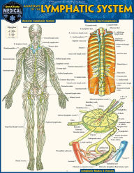 Title: Anatomy of the Lymphatic System: a QuickStudy Laminated Reference Guide, Author: Vincent Perez
