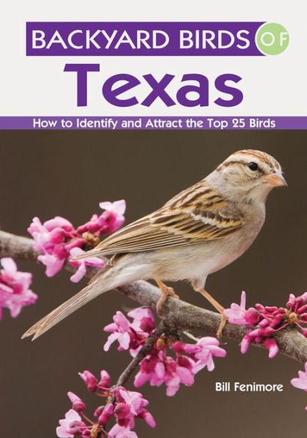 Backyard Birds of Texas: How to Identify and Attract the Top 25 Birds ...