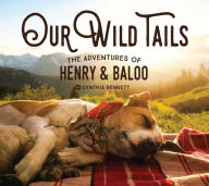 Title: Our Wild Tails: The Adventures of Henry & Baloo, Author: Cynthia Bennett