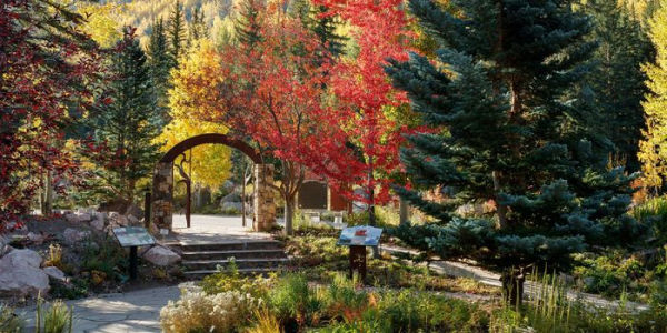 On the Roof of the Rocky Mountains: The Botanical Legacy of Betty Ford Alpine Gardens, Vail's Alpine Treasure