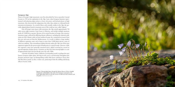 On the Roof of the Rocky Mountains: The Botanical Legacy of Betty Ford Alpine Gardens, Vail's Alpine Treasure