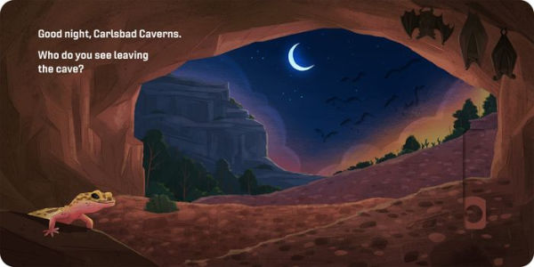Good Night, National Parks