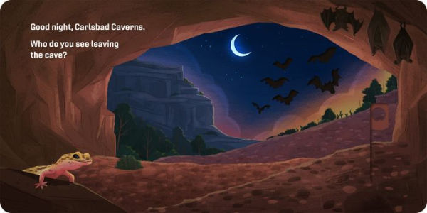 Good Night, National Parks