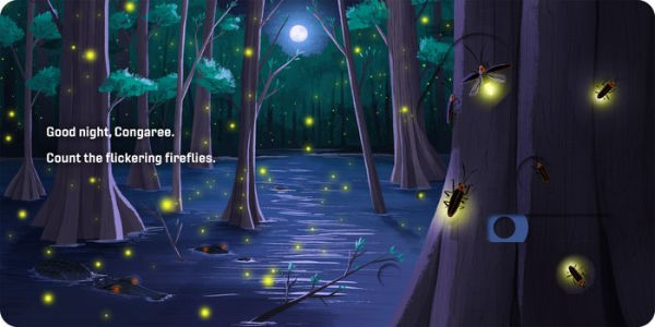 Good Night, National Parks