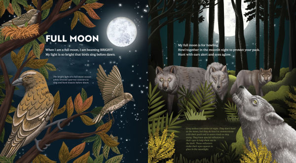 Wild Moon: How the Lunar Phases Light Up Our World