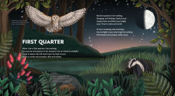 Alternative view 4 of Wild Moon: How the Lunar Phases Light Up Our World