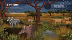 Alternative view 5 of Wild Moon: How the Lunar Phases Light Up Our World