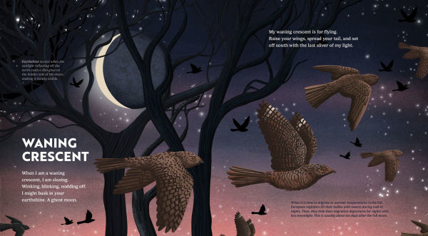 Wild Moon: How the Lunar Phases Light Up Our World