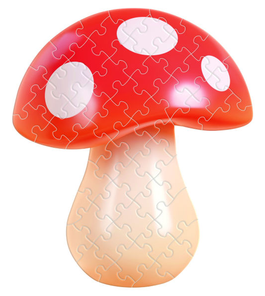 Mushroom Jiggie Puzzle 53 Piece