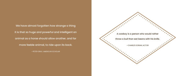 What I Know About Cowboys