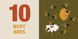 Alternative view 5 of Count On Utah: Baby's First Book About the Beehive State