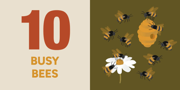 Count On Utah: Baby's First Book About the Beehive State